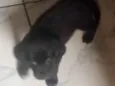 Spike 