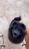 Hórus