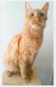 BEN