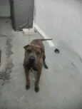 Chiquinha