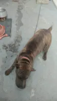 Chiquinha