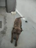 Chiquinha