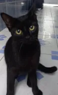 Não sei como se chama