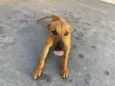 Paçoca