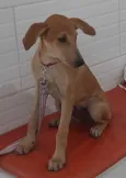 Lola