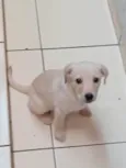 Mel