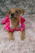 Princesa.