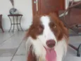 Kaite
