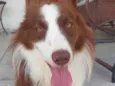 Kaite