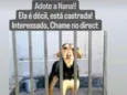 Nãna