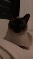 anakim