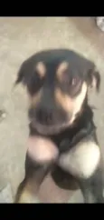 Celinha e Jurema 