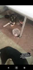 Celinha e Jurema 