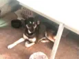 Celinha e Jurema 