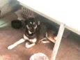 Celinha e Jurema