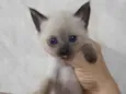 .......