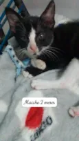 .........
