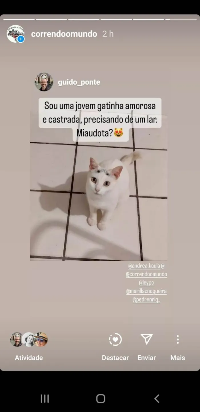 Gato ra a  idade 2 anos nome Não sei