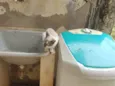 Rafael