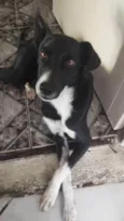 Eros