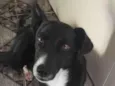 Eros