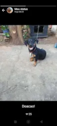 Ludimila