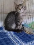 .....