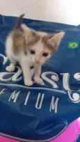 ........