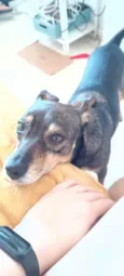 Paçoca