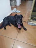 Duki