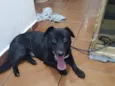 Duki
