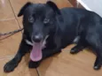 Duki