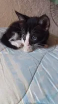 .........