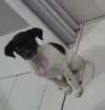 Sem nome 