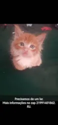 Faísca