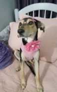 Agatha
