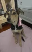 Agatha