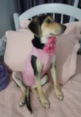 Agatha
