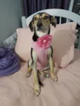 Agatha