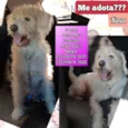 Xuxa