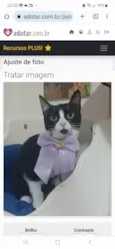 MAGIE