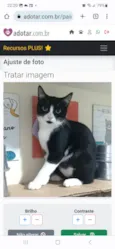 MAGIE
