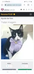 MAGIE
