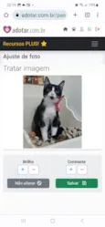 MAGIE