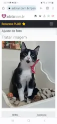 MAGIE