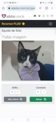 MAGIE