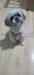 Lua
