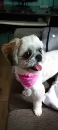 Lua