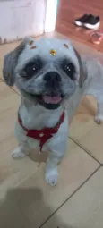 Lua