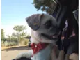 Lua
